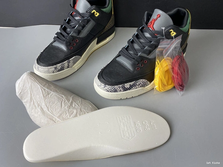 SE 3 Air Jordan 2.0” “Animal CV3583-003 Instinct 0925